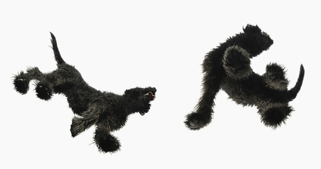 3-tim-flach-photographer1