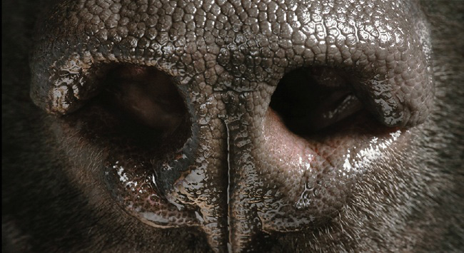 5-tim-flach-photographer1