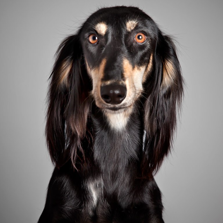 amparo-garrido-exposicion-soy-tu-08