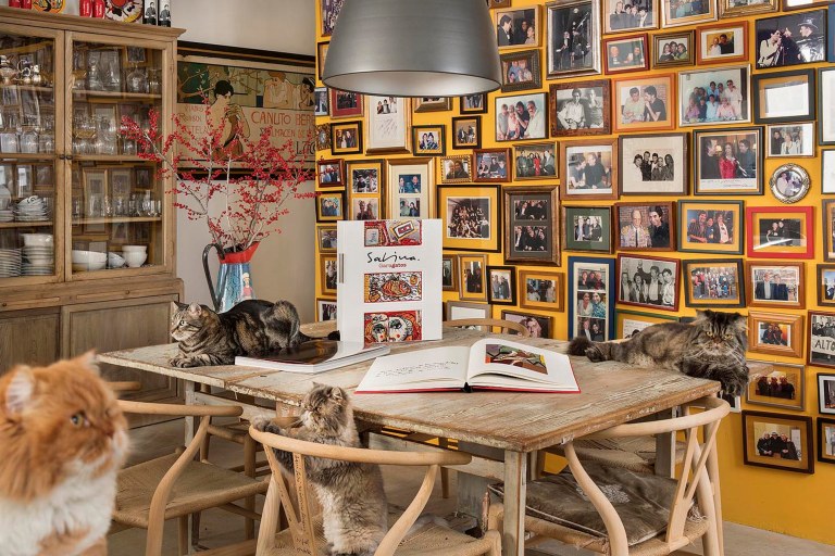 Planeta-Sabina-M.Yllera-22