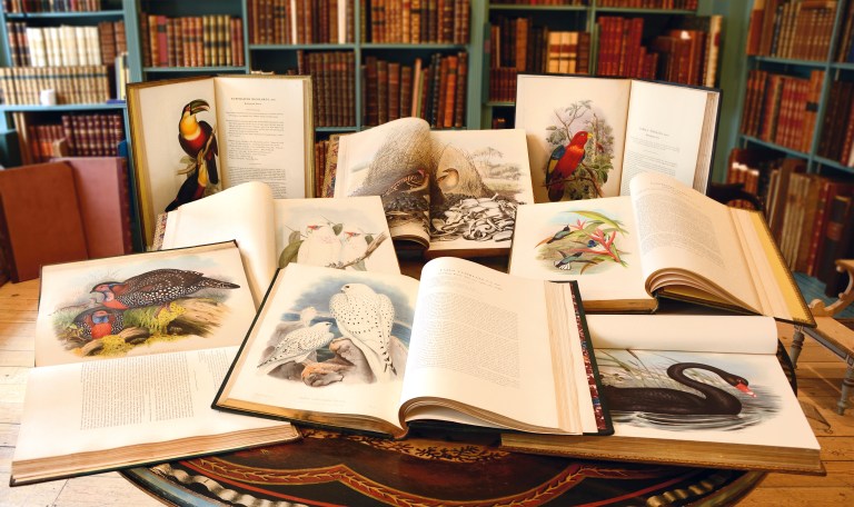 shapero4122015t161644