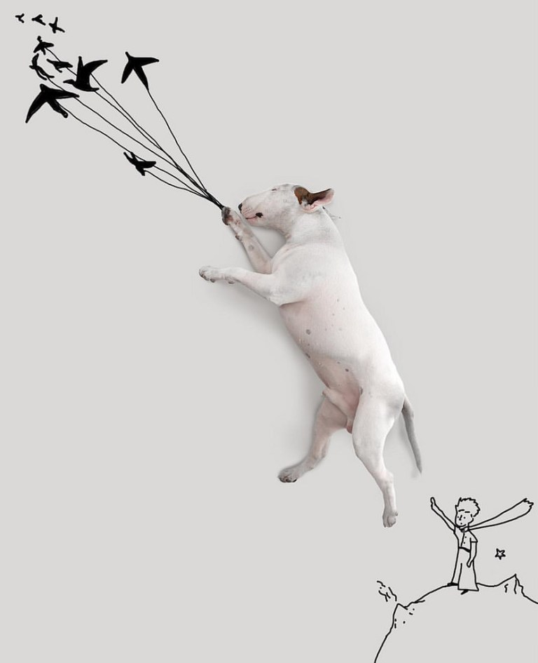 21223419626_70a5e29d5b_b