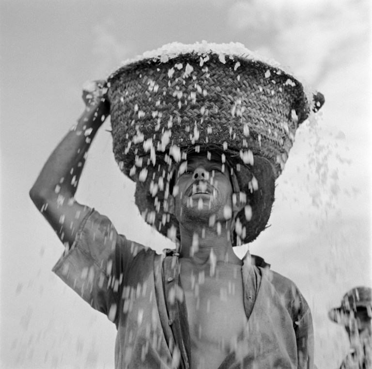 Català-Roca_Soriano