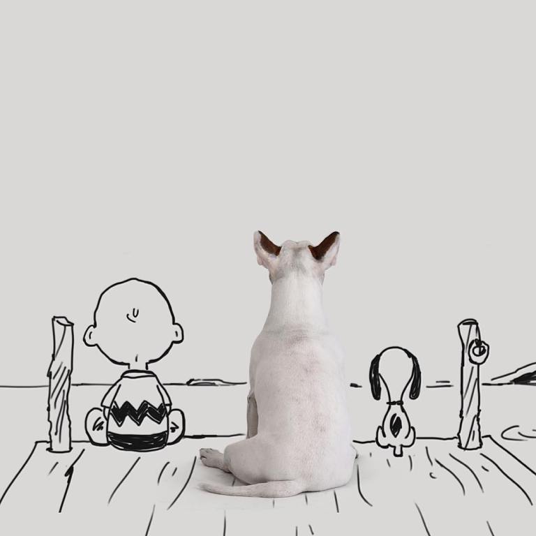 ig-desktop-8BMNflJ-AP