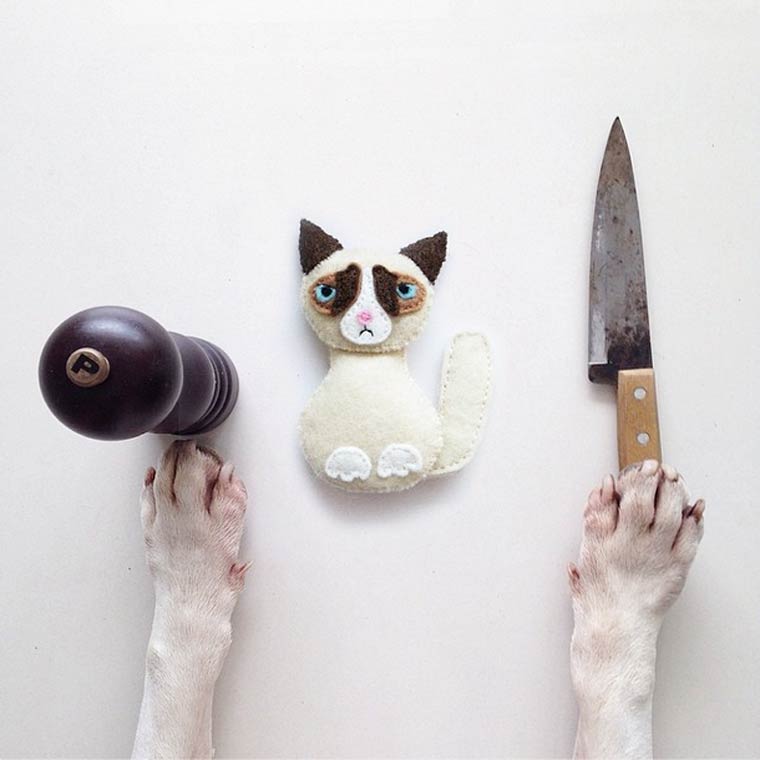 rafael-mantesso-bull-terrier-20