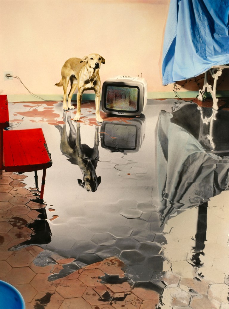 16. Animalista_Ouka Leele_Me levanto por la mañana