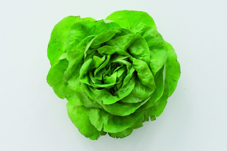 Karin-Sander.-The-Head-Lettuce-2012-2016-1024x6832