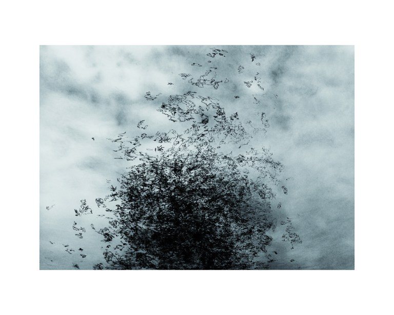 Núria Pons - Setba Jove 2016