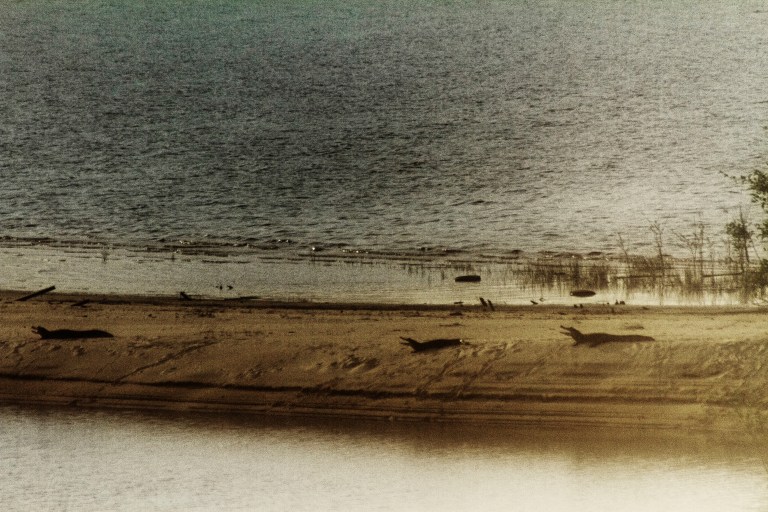 CAmerica_Rafael Milani_01