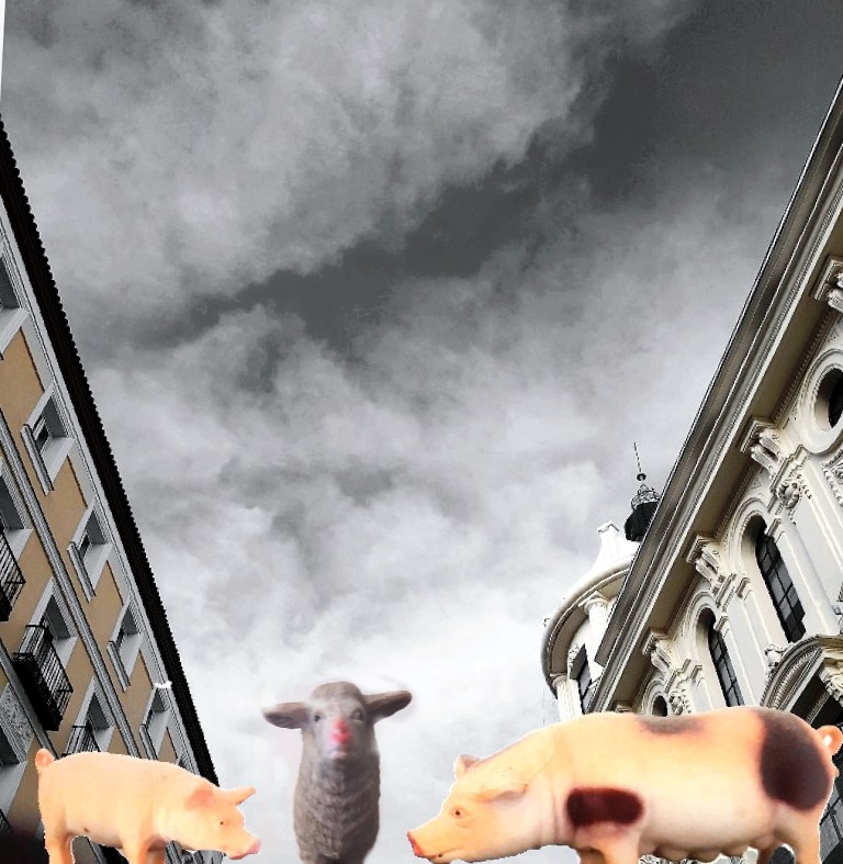 IMG_20170821_122019_888